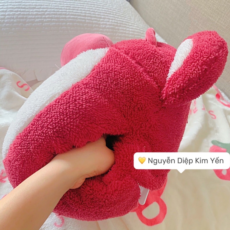 Gấu Losto kèm Mền