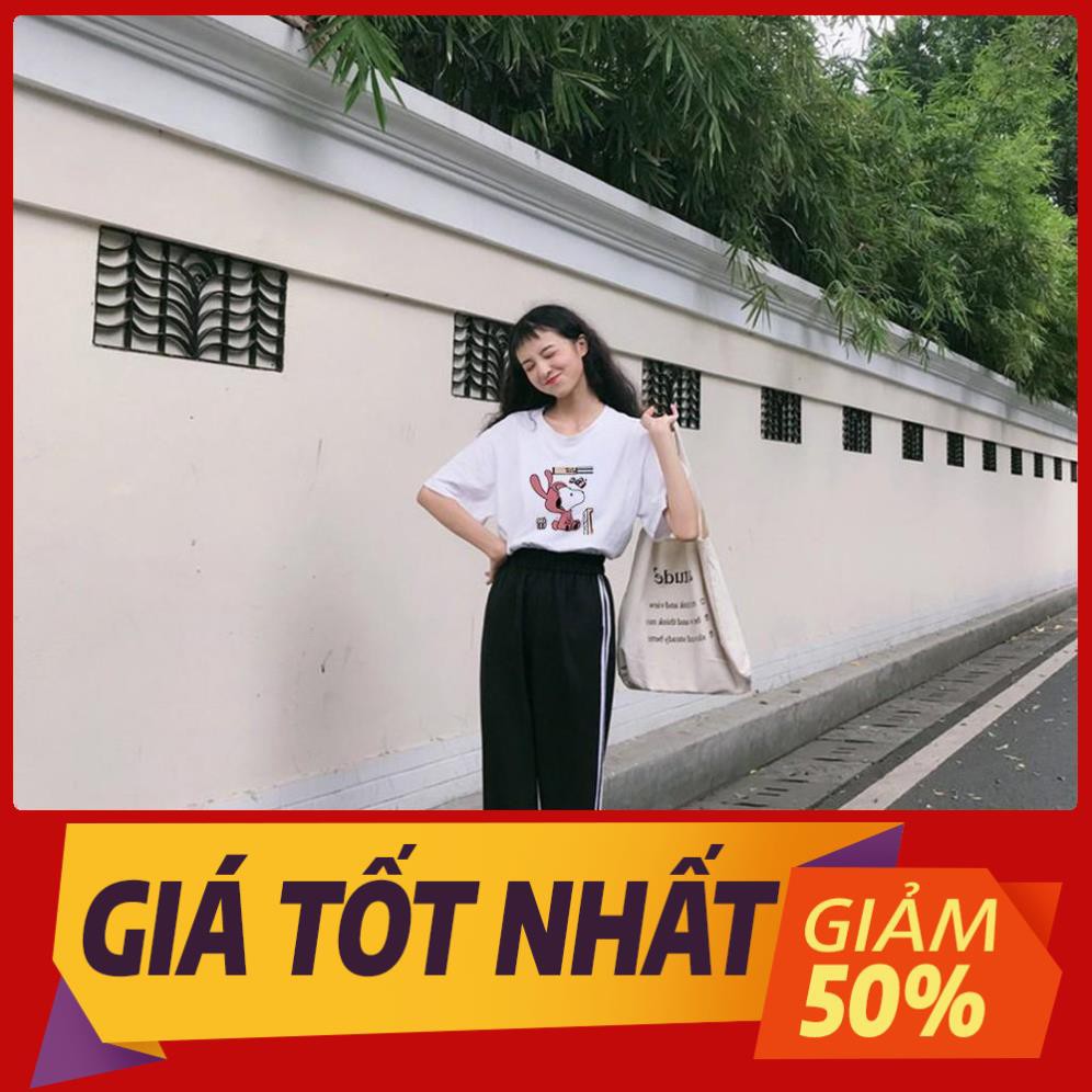 Set Đồ Thể Thao Năng Động Unisex Quần Jogger Phối Thun Unisex Gấu Tai Dày S10 Có Big Size