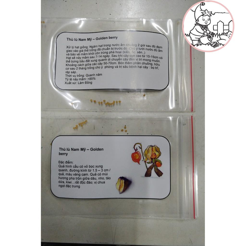 Hạt giống Tầm bóp - Thù Lù Nam Mỹ - GOLDEN BERRY - Gói 20 hạt