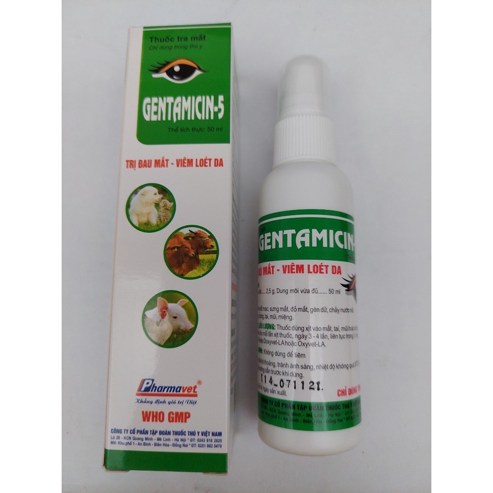 GENTAMICIN 5 - Xịt đau mắt, viêm loét da, xịt mắt dê, chó mèo, heo , bò,...