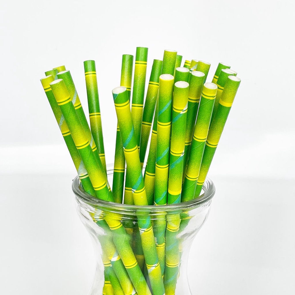 [GIÁ SỐC] Hộp 50 ống hút giấy bã mía (Premium Bamboo)