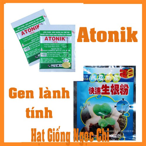 Thuốc Atonik và Chế phẩm Gen Lành Tính Kích Thích Tăng Trưởng Rễ, Kích Thích Nảy Mầm