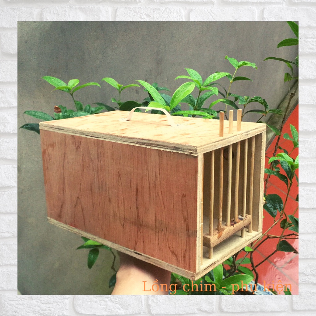 Hộc, cốp đựng chim tiện lợi Hộc chuyển chim chào mào, chòe, mi,...các loại giá rẻ chất liệu gỗ