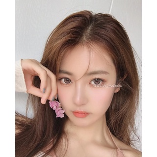 Kính áp tròng Colorhunter Dùng 1 Năm 14.0mm 0 - 8 Độ 1 cặp YXW