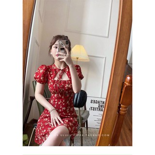 Lima dress - đầm cổ cột nơ hoa