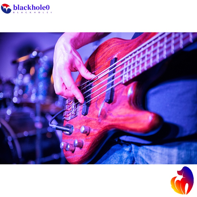 Set 4/5/6 dây đàn guitar bass BH CAYE BW