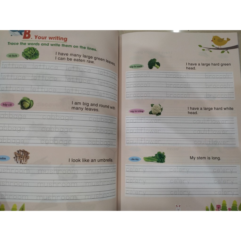 Sách - Easy english writing for kids - khu vườn của bé