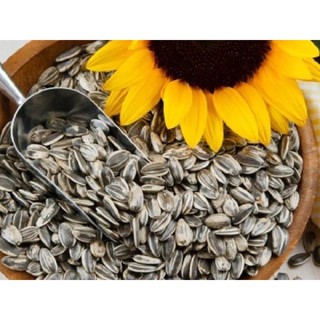 Hạt Hướng Dương 500g