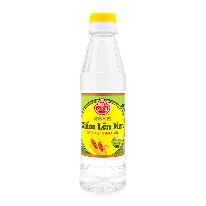 GIẤM LÊN MEN