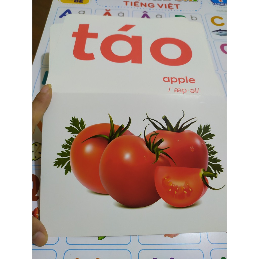 Thẻ học thông minh Flashcard size A5 dày to nhất dạy trẻ thế giới xung quanh và dạy trẻ tập nói tập đọc