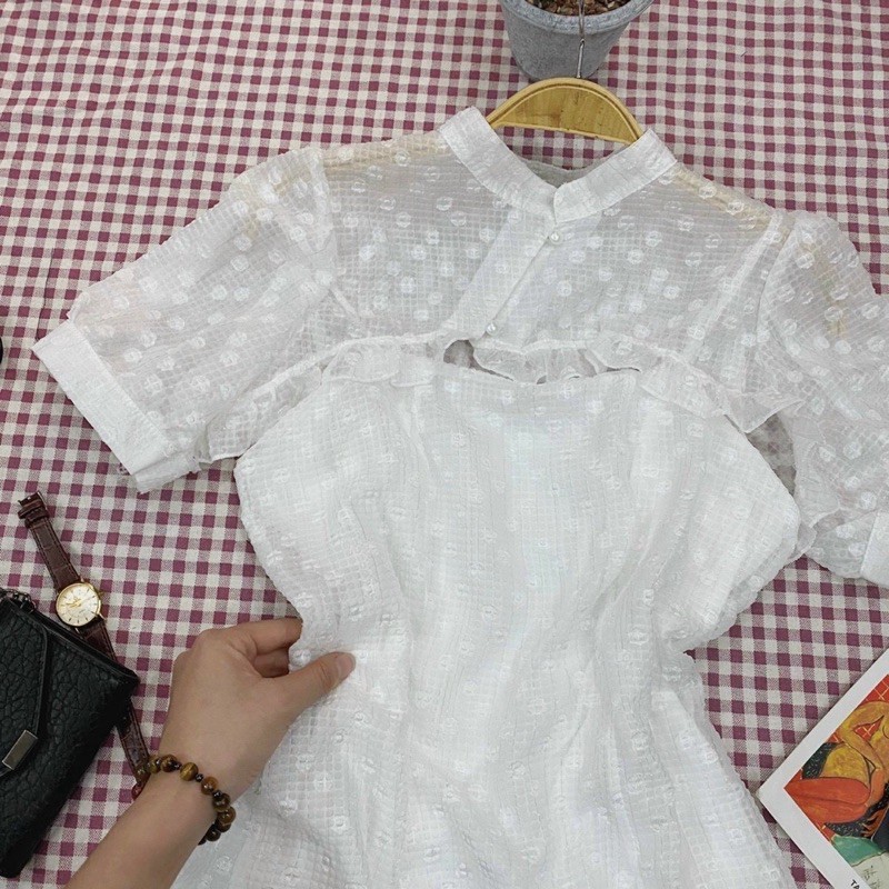 ĐẦM TÀU VOAN BÈO | BigBuy360 - bigbuy360.vn