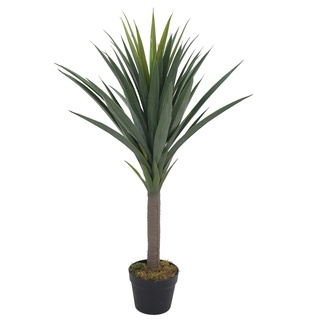Cây giả, cây phát tài núi, cây thiết mộc lan giả, trang trí nhà cửa, decor