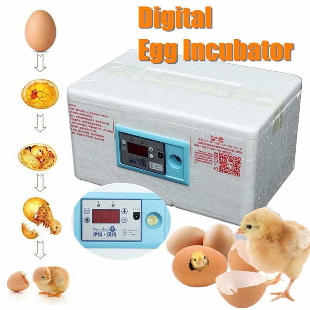 Máy Ấp Trứng Gà Tự Động Điều Chỉnh Nhiệt Độ Tiện Dụng