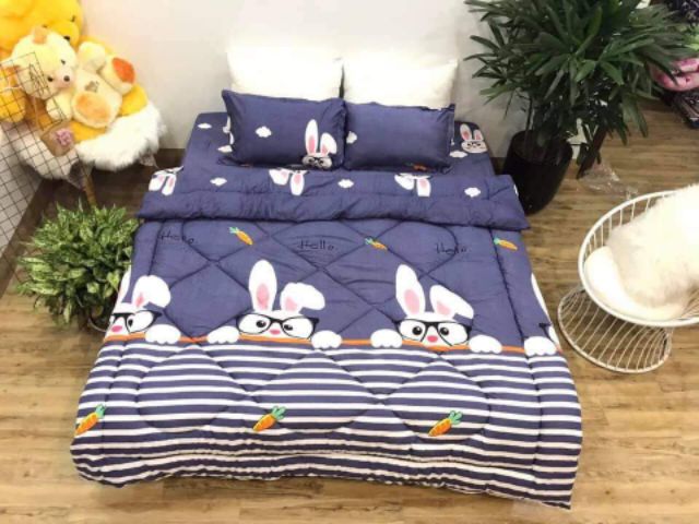 Bộ chăn ga gối 5 món chăn phao dầy dặn