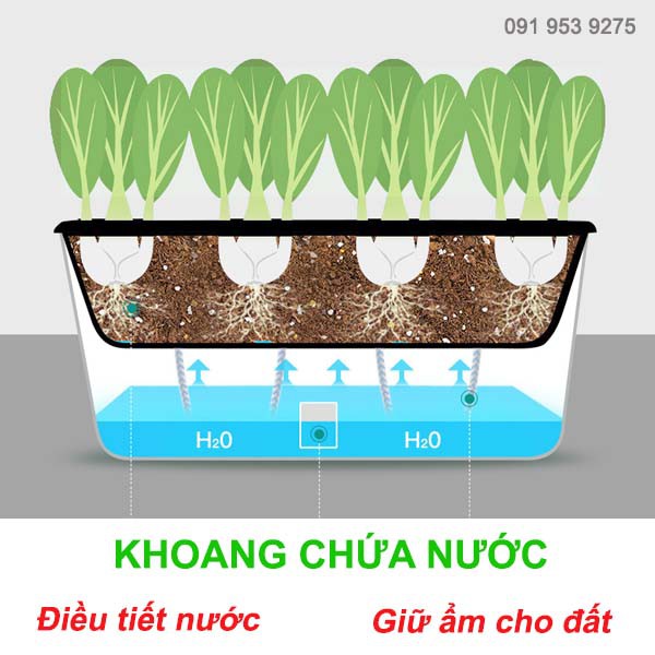 Giá trồng rau tự dưỡng 3 tầng Không cần tưới nước Kệ trồng rau tự dưỡng
