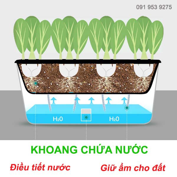 Giá trồng rau tự dưỡng 3 tầng Không cần tưới nước Kệ trồng rau thông minh cho sân thượng ban công