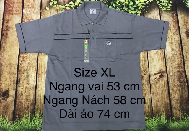 Size L & XL - ÁO THUN TRƠN TRUNG NIÊN NAM vải đẹp | BigBuy360 - bigbuy360.vn