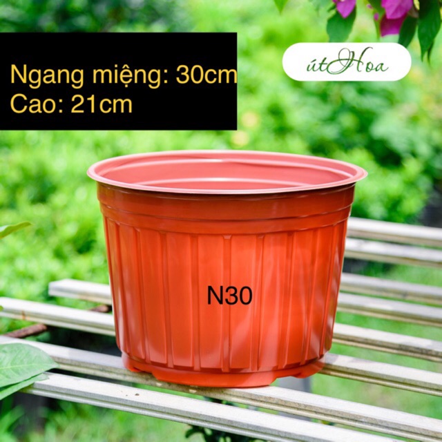 [ SLL giá rẻ] Chậu Nhựa Nâu N30 (30x21cm) cỡ lớn trồng cây