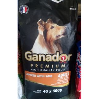 Bao Ganador chó lớn 20kg vị gà và cừu