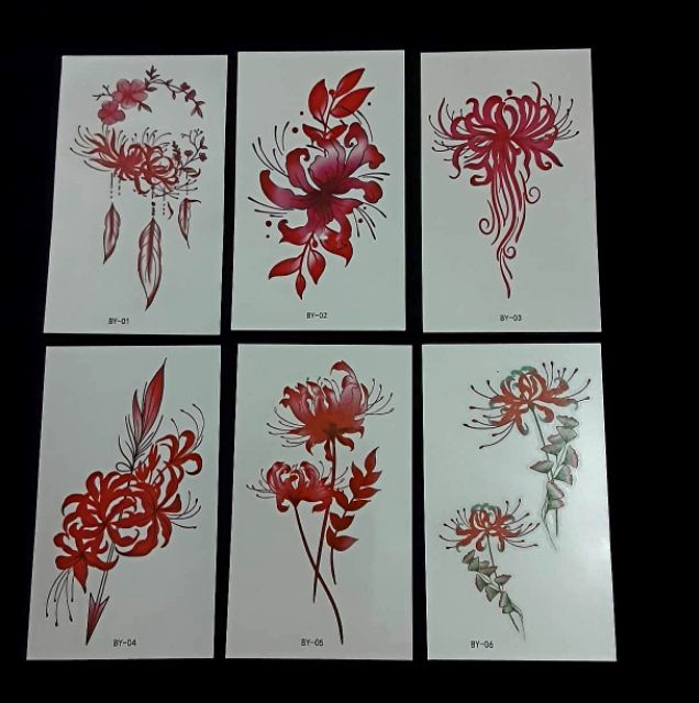 Combo 30 tấm hình xăm nước hình xăm dán Hoa Bỉ Ngạn đẹp dễ thương hot hit giá rẻ
