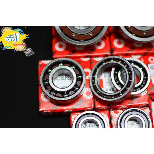 Bộ Bạc Đạn Máy Fag X-Life Ceramic Rế Sứ Cho Exciter