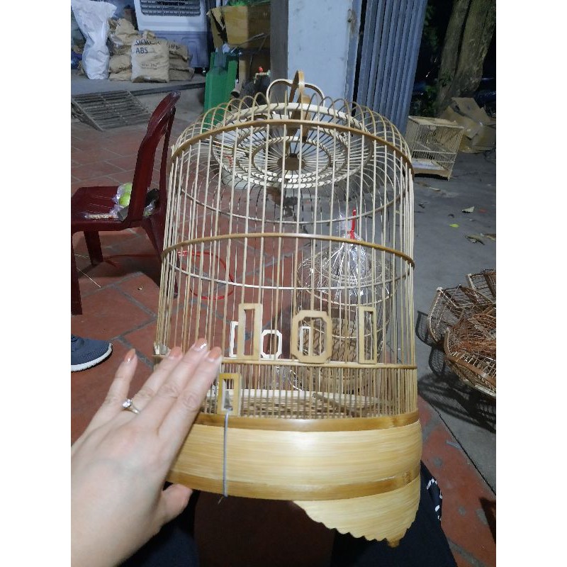 LỒNG QUẾ LÂM ,NGŨ SẮC