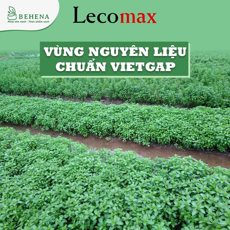 Bột bạc hà behena nguyên chất làm bánh đắp mặt pha trà sữa Lecomax LMB06