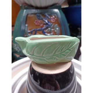 chậu men mini