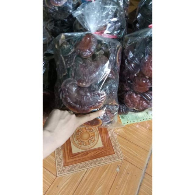 Nấm Lim Xanh Rừng Già DakLak 500gram