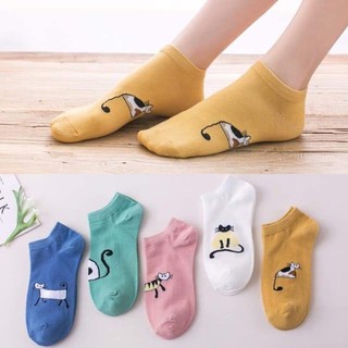 [shopee trợ giá] sét 10 đôi tất mèo cổ ngắn cho nữ