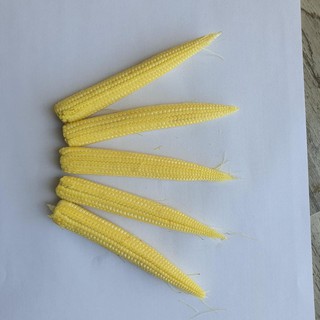 Hạt gióng bắp ăn non