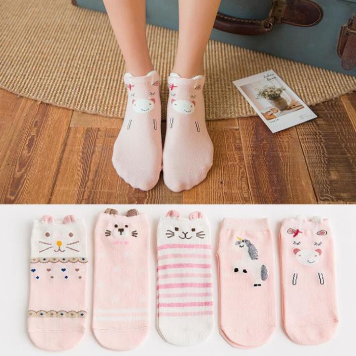 Set 5 Vớ cổ thấp dễ thương Combo 5 Tất cổ ngắn In hình 3D Cute