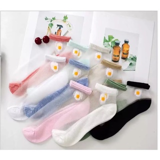 Tất hoa cúc cổ ngắn cho nữ