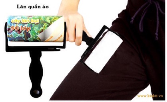 Cây lăn bụi quần áo