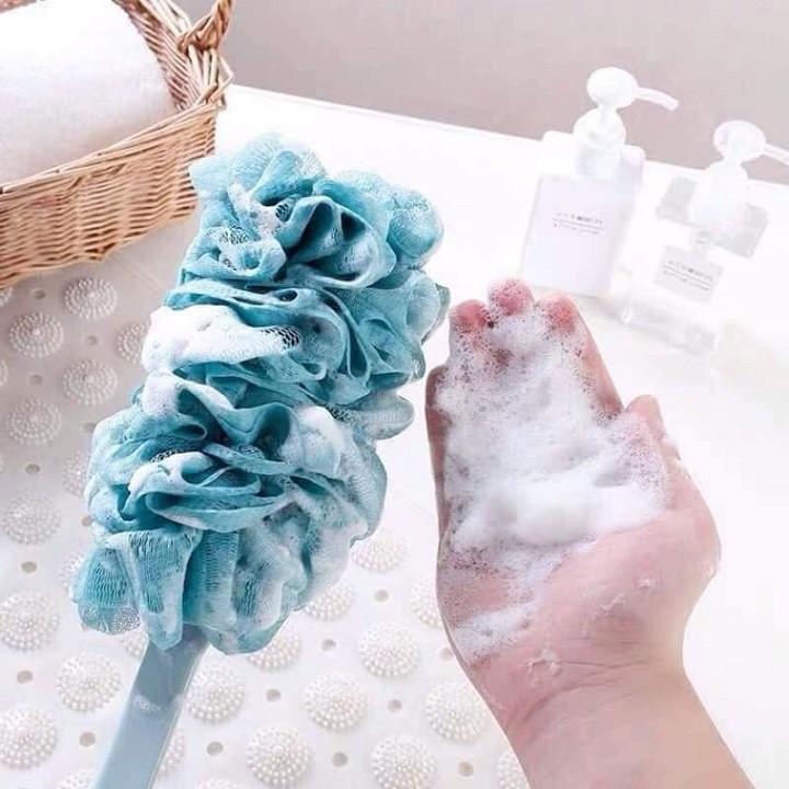 CÂY CỌ LƯNG TẮM BÔNG TẮM CÁN DÀI