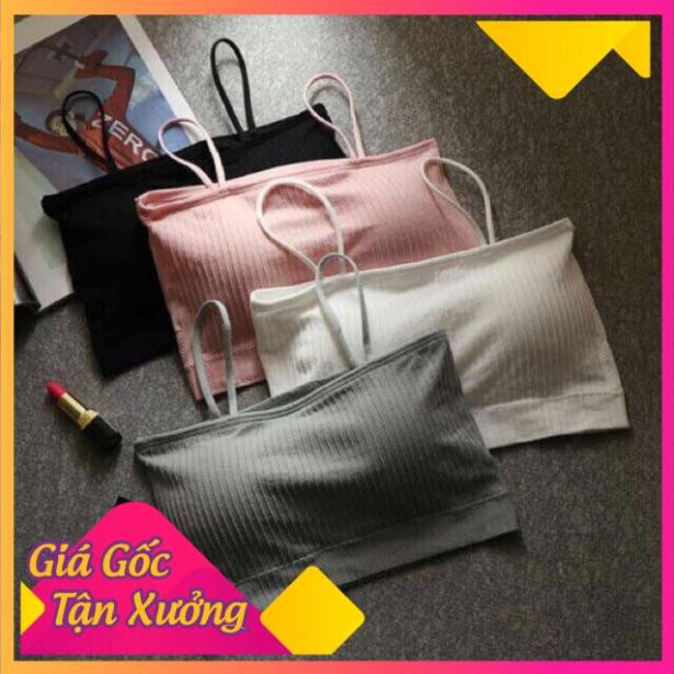 Áo Bra Thun Tăm 2 Dây mã 809 | BigBuy360 - bigbuy360.vn