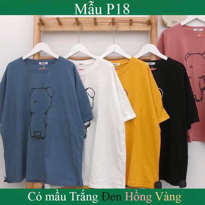 Áo phông gấu teddy