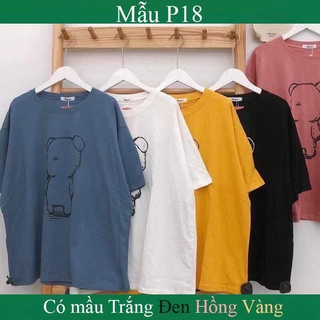 Áo phông gấu teddy