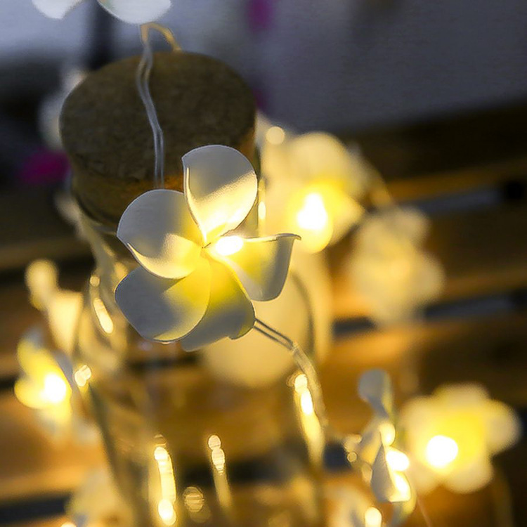 Led frangipani lamp string ins room decoration lamp wedding outdoor holiday lantern  Fairy Light Led Operated Pixie Light 3metres 30L Christmas decorations  Lamp Lights 10/20/30/50 LED Fairy LED String Round Ball Blubs Party Decor