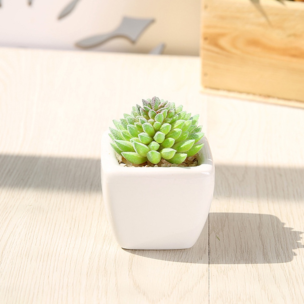 Chậu sen đá giả dùng để trang trí nội thất / văn phòng / ban công