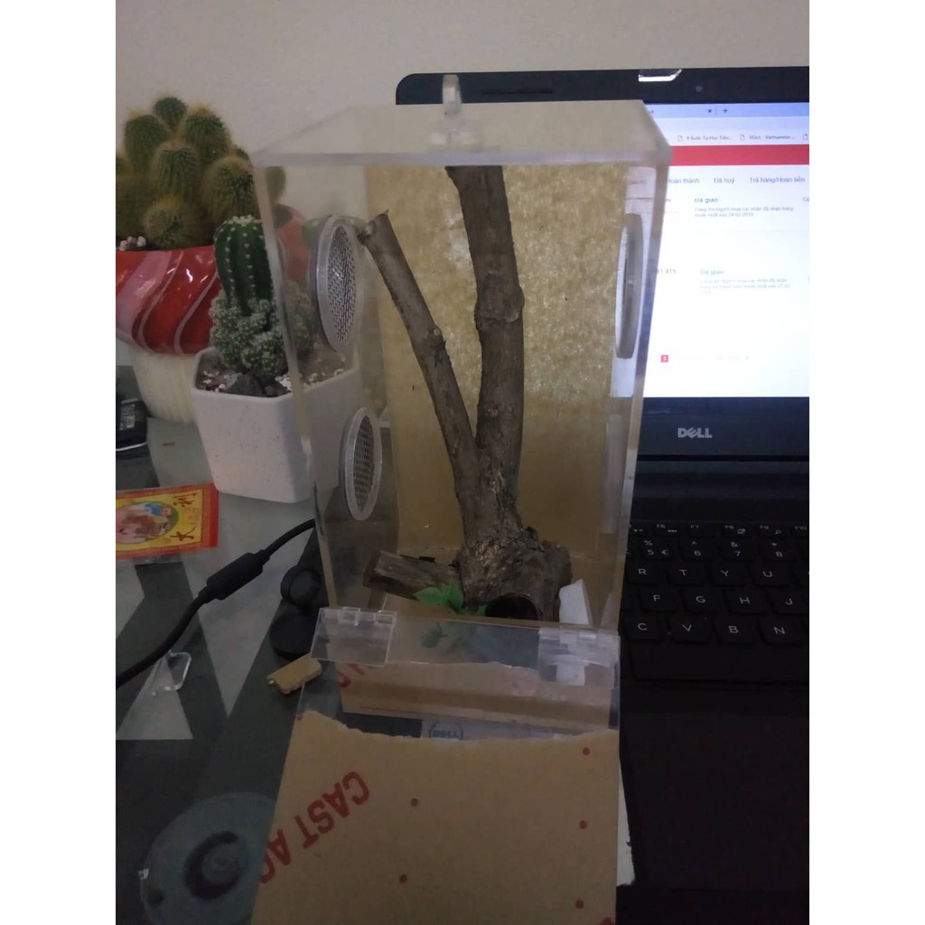 Hộp Nuôi Nhện 10-10-20 Dán (tank tarantula)