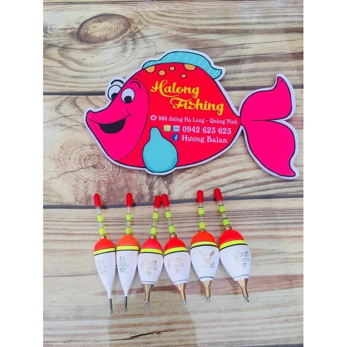 Phao ly cắm que sáng Ly-Ying dùng trong câu cá