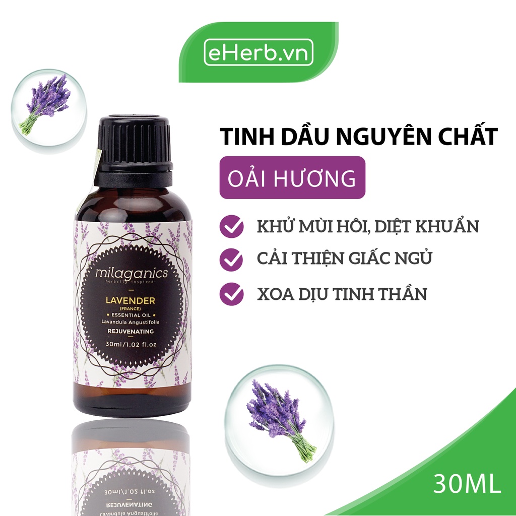 Tinh Dầu Oải Hương Nguyên Chất Khử Mùi, Giảm Stress, Kháng Khuẩn MILAGANICS 10ml - 30ml (Chai)