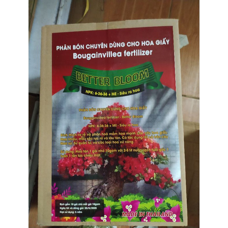 Phân bón kích hoa dùng cho hoa giấy