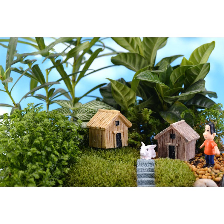 Tiểu cảnh mini ❤️ Terrarium ❤️  Ngôi nhà giả gỗ tiểu cảnh trang trí sen đá, sân vườn, bể cá, bể terrarium