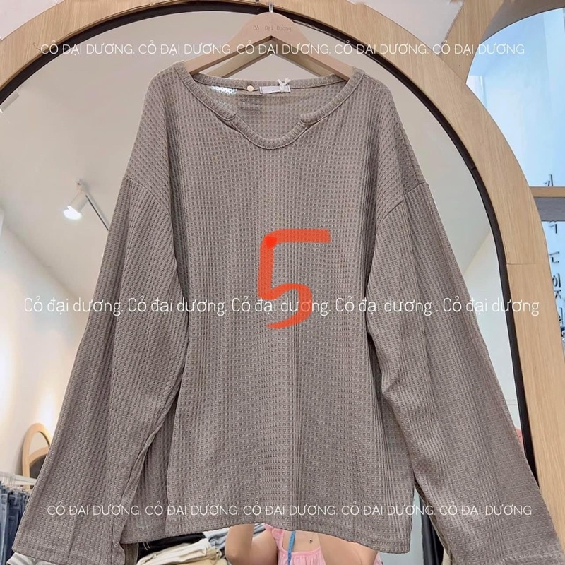 Áo sần ô dài tay 5820