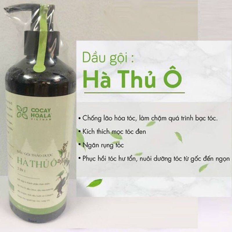 Sale 38% Dầu Gội + Xả thảo dược Hà thủ ô 2 trong 1