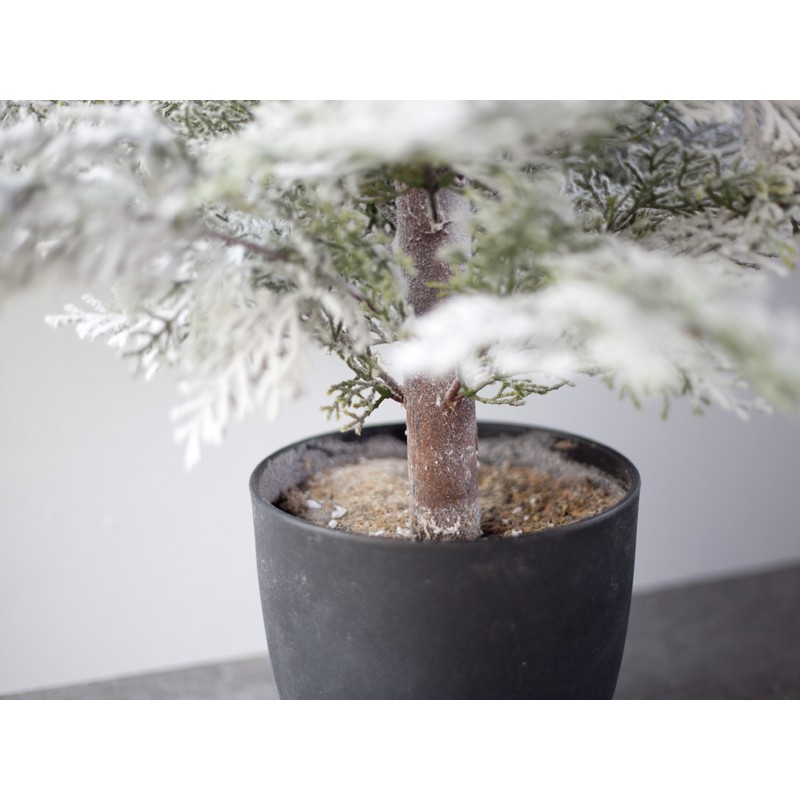 Cây thông Noel giả phủ tuyết CC351