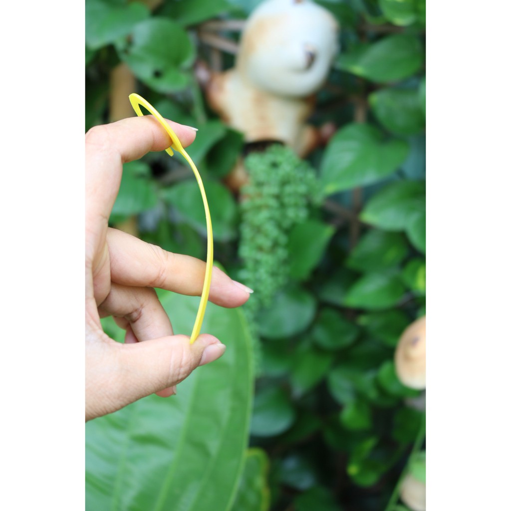 Sét 100 thẻ móc vòng treo cành ghi tên giống cây trồng 2.4x11cm