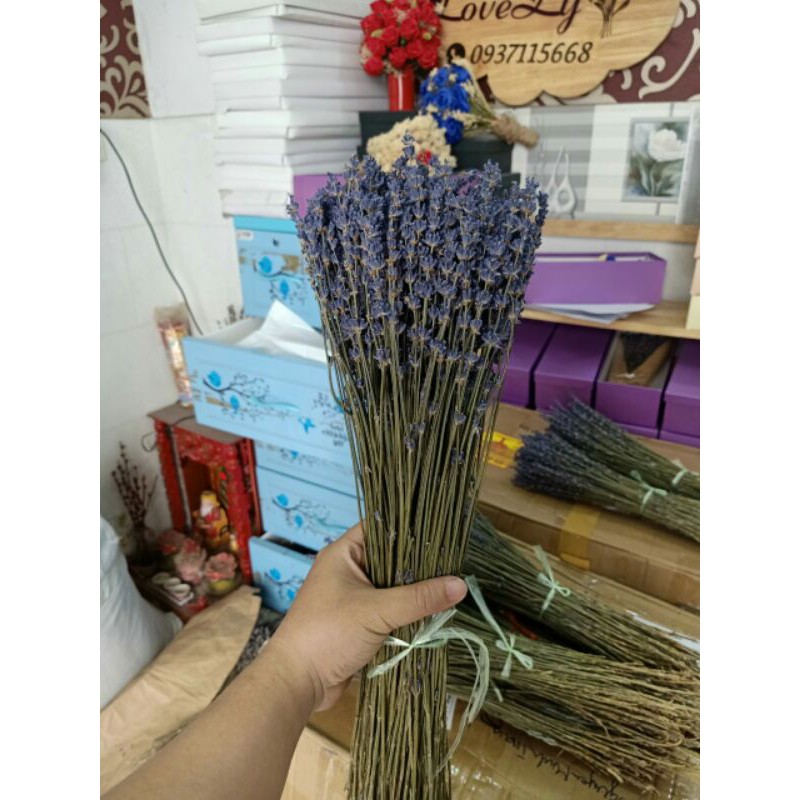 Bó hoa lavender oải hương khô thuần túy 200 cành